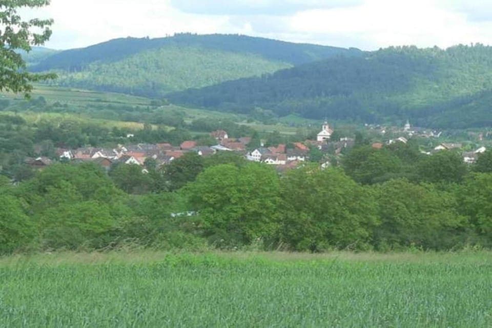 Surroundings [summer] (1-5 km)