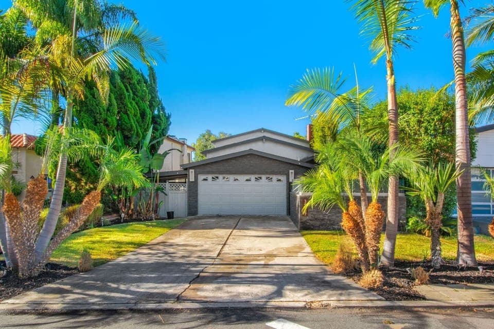 Tropical front yard with palm trees and private driveway parking