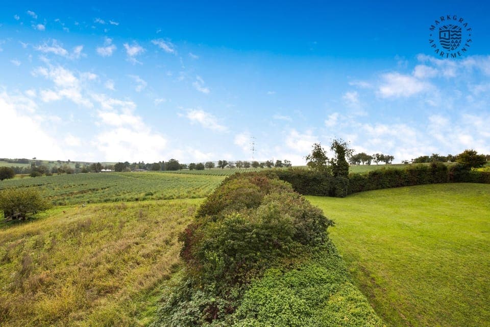 Land view from property
