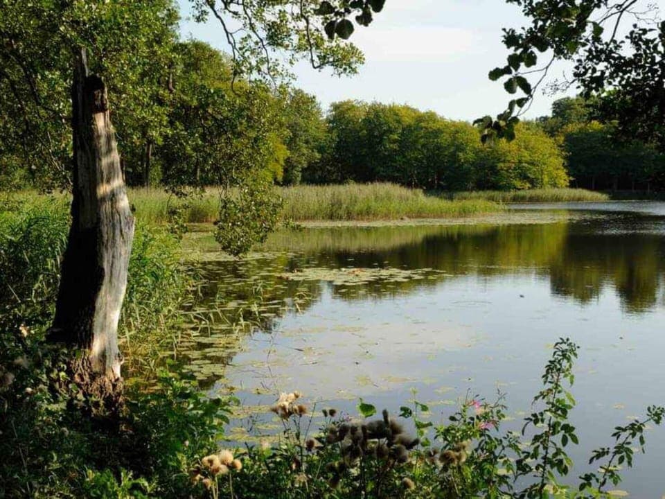 House | Miscellaneous