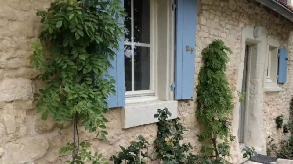 House | Interior detail