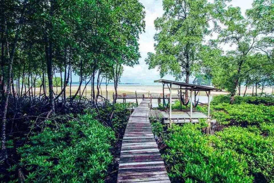 Family Room, Sea View | Bed sheets