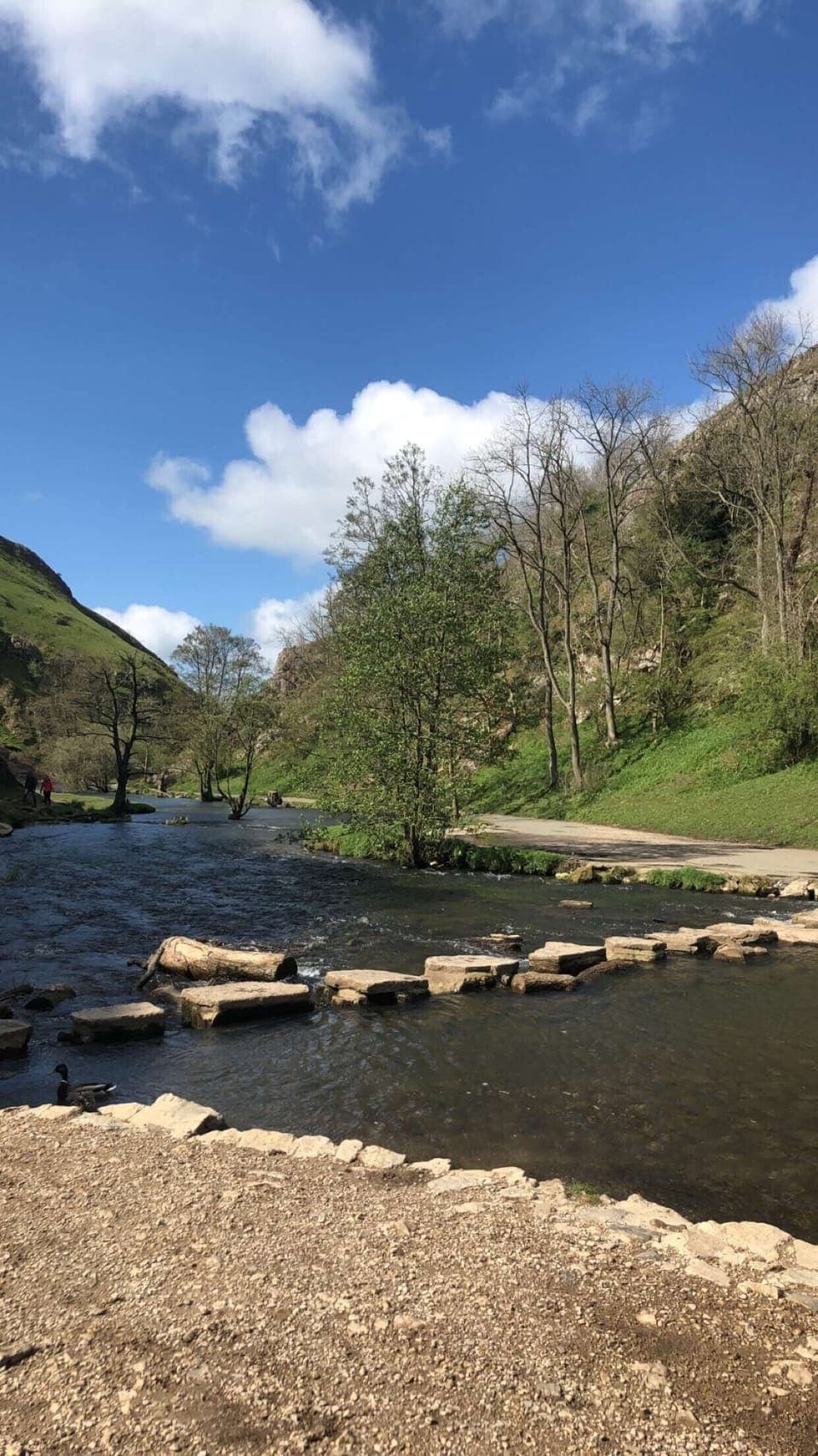 Dovedale Stepping Stones, Ilam