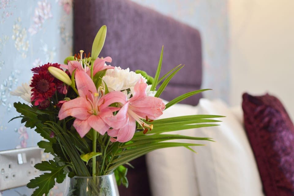 Individually decorated, individually furnished, desk, iron/ironing board