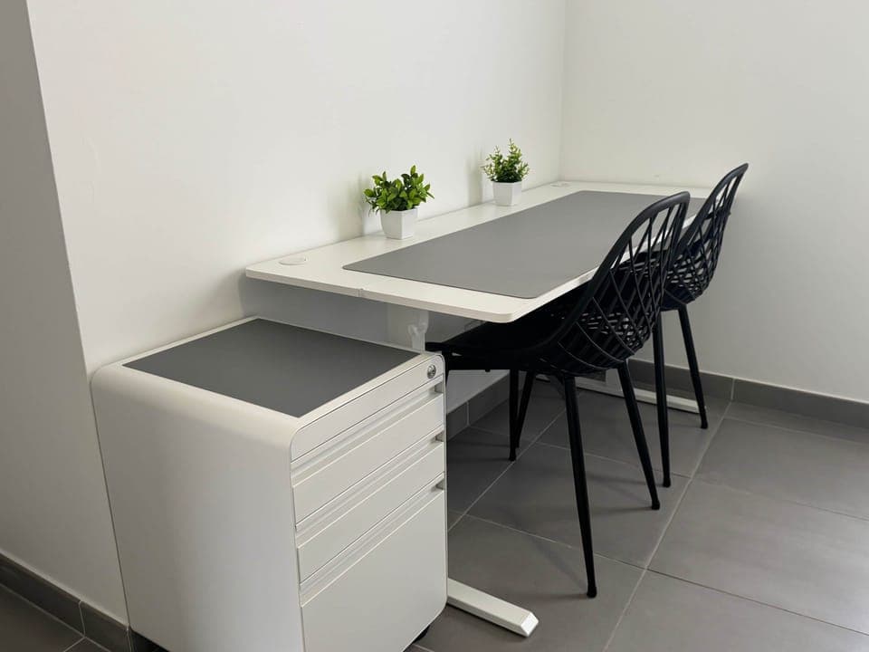 Ergonomic, height-adjustable double electric desk