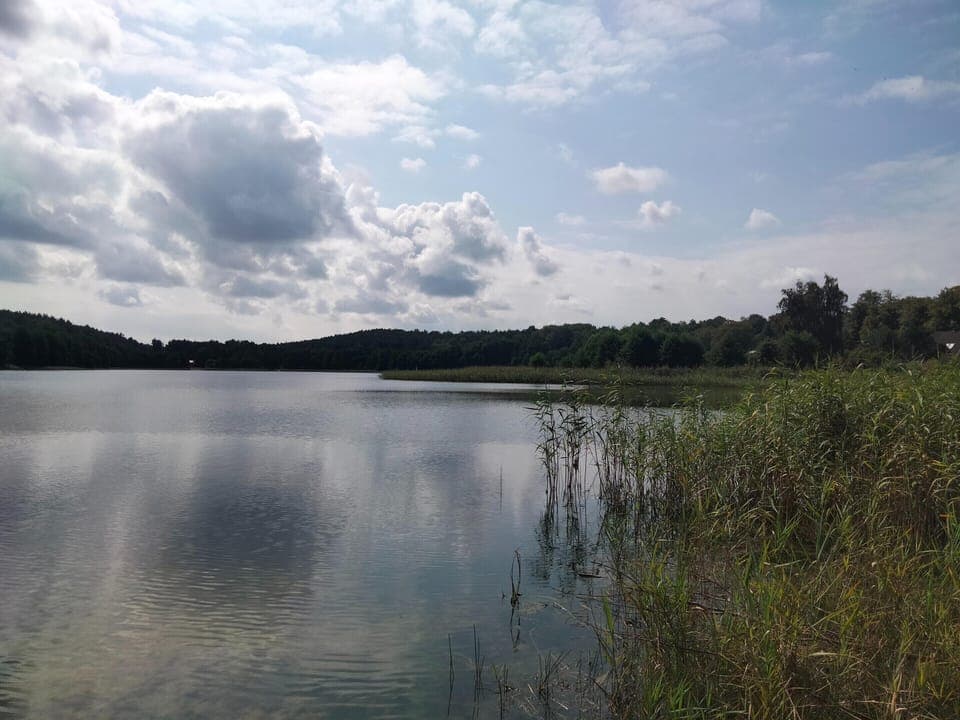 House | View from property