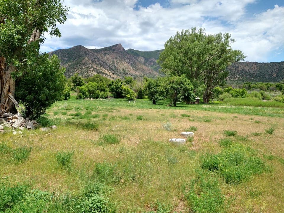 Property in summer