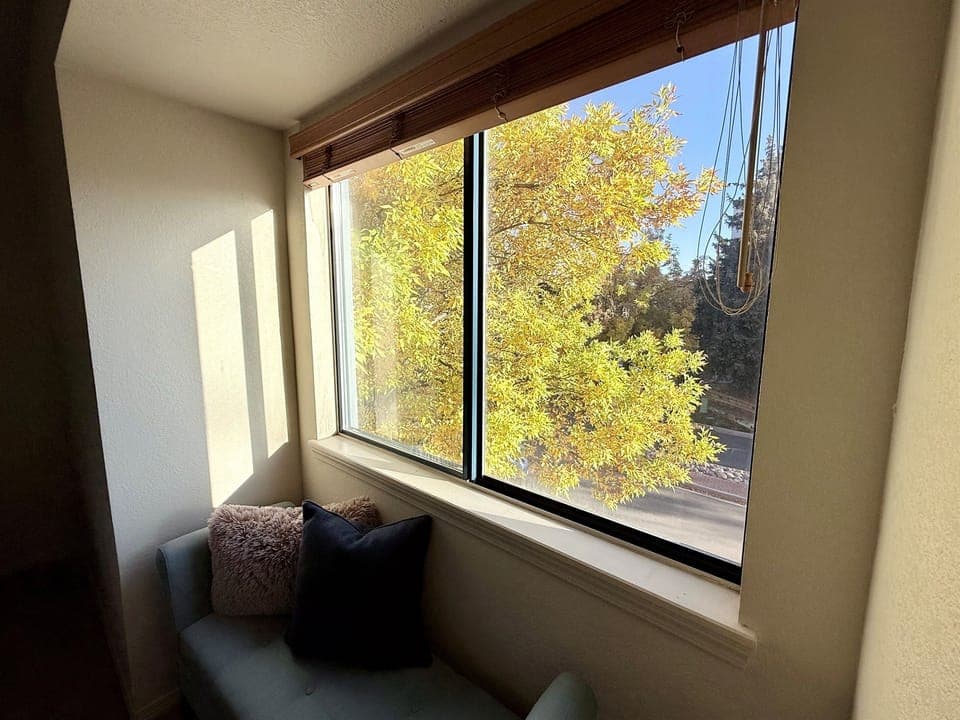 View from 2nd bedroom, beautiful trees surround the property.