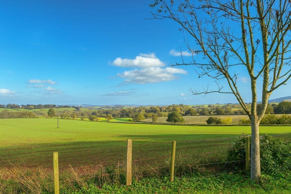 Kenn Valley just outside Exeter