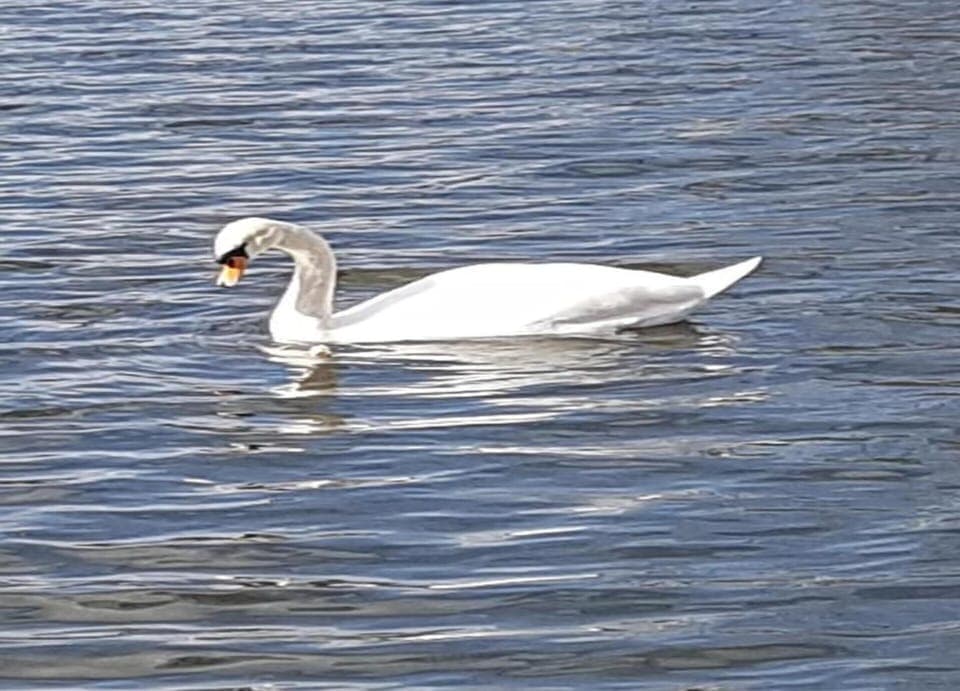 Mobile Home | View from property