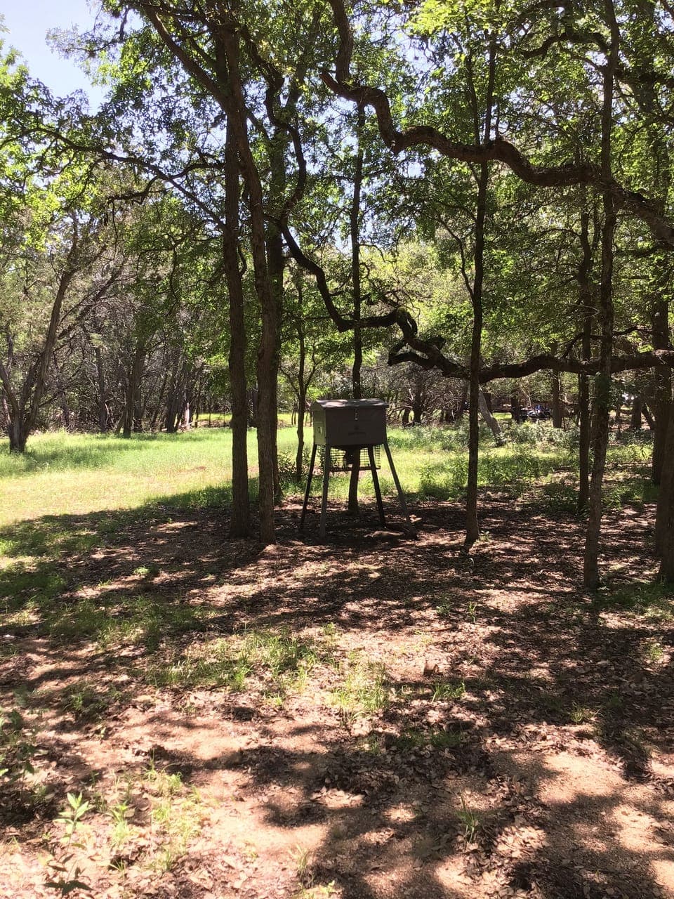 Deer & wildlife visit every morning and evening.