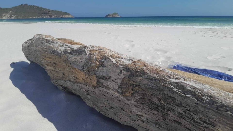 Double Room | Terrace/patio