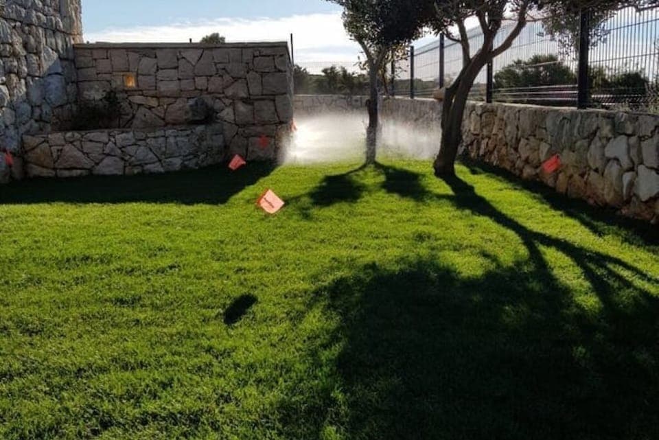 Irrigated lawns