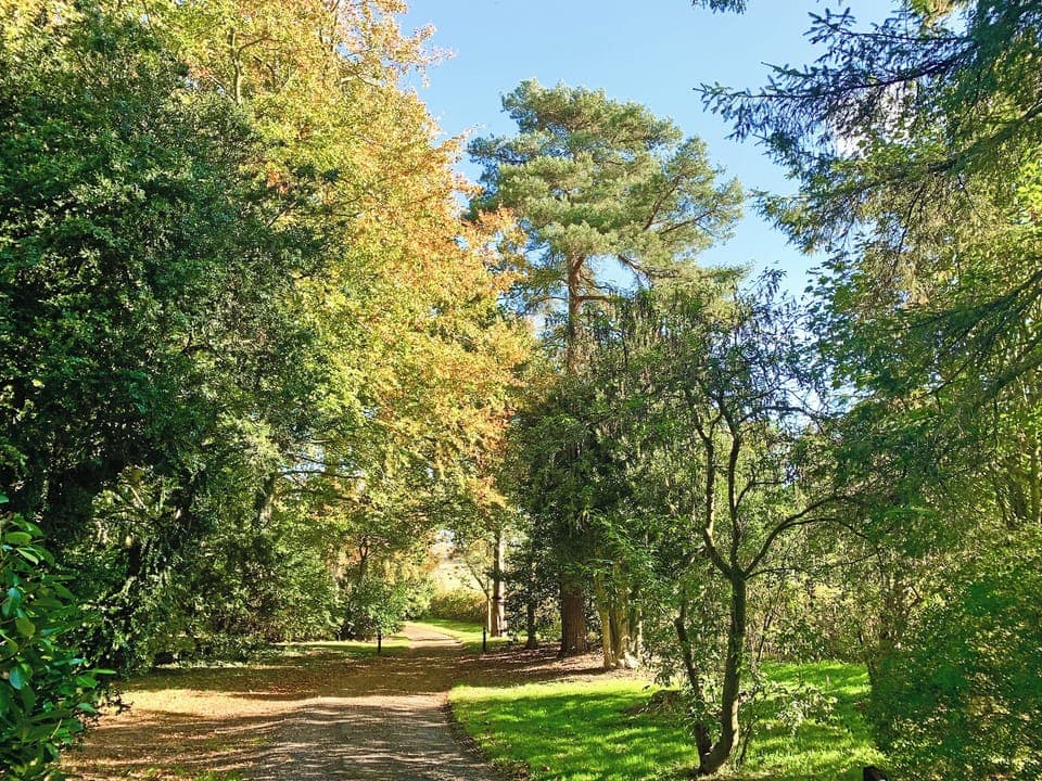 Driveway | Moortown House, Market Rasen