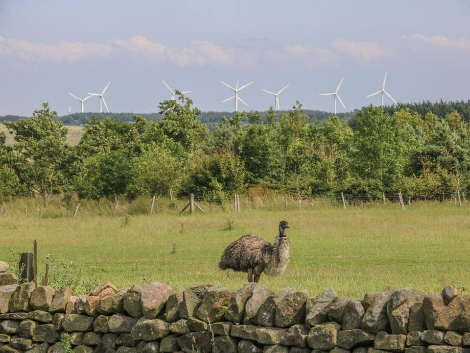 House, 5 Bedrooms, Balcony, Garden View | Exterior