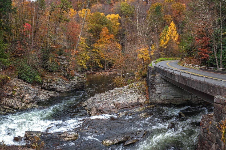 Experience nature's palette with vibrant autumn hues by the flowing river!