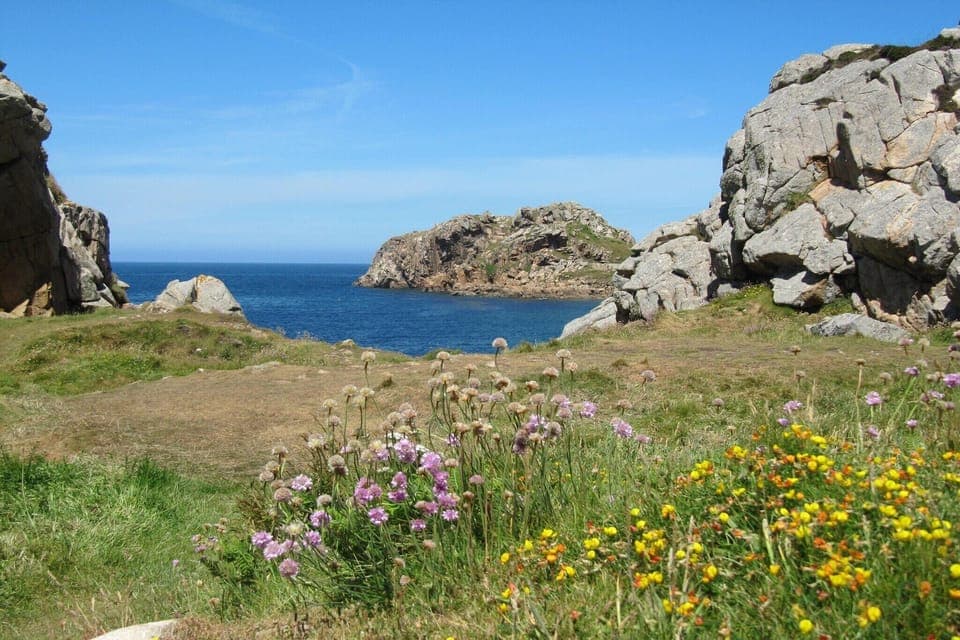 Region [summer] (>5 km)