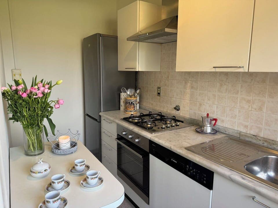 Kitchen Appliance, Kitchen, Countertop, Major Appliance, Kitchen Stove, Stove, Gas Stove, Cabinetry, Home Appliance, Kitchen Sink