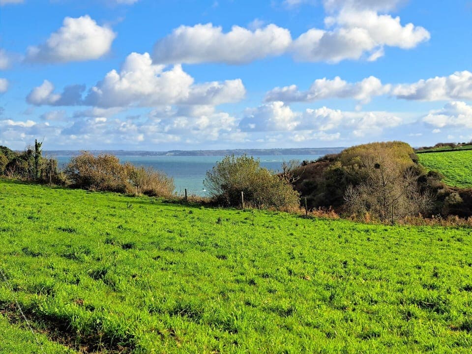 House | View from property