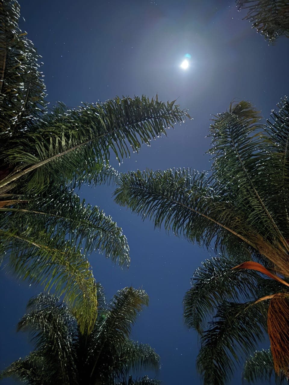 View of the night sky.