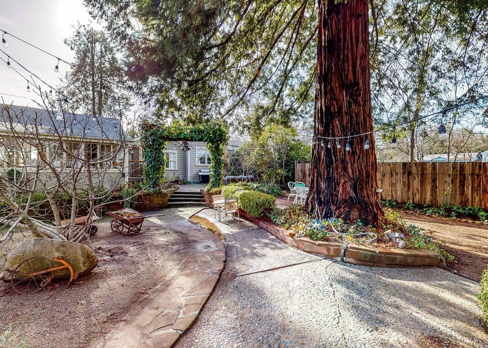 House (1 Bedroom) | Interior