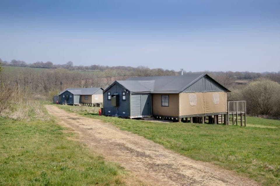 Woodpecker in front and Kingfisher at the end, near the lake