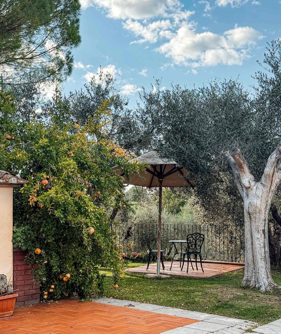 Enjoy coffee under the Olive & Pomegranate Trees. 