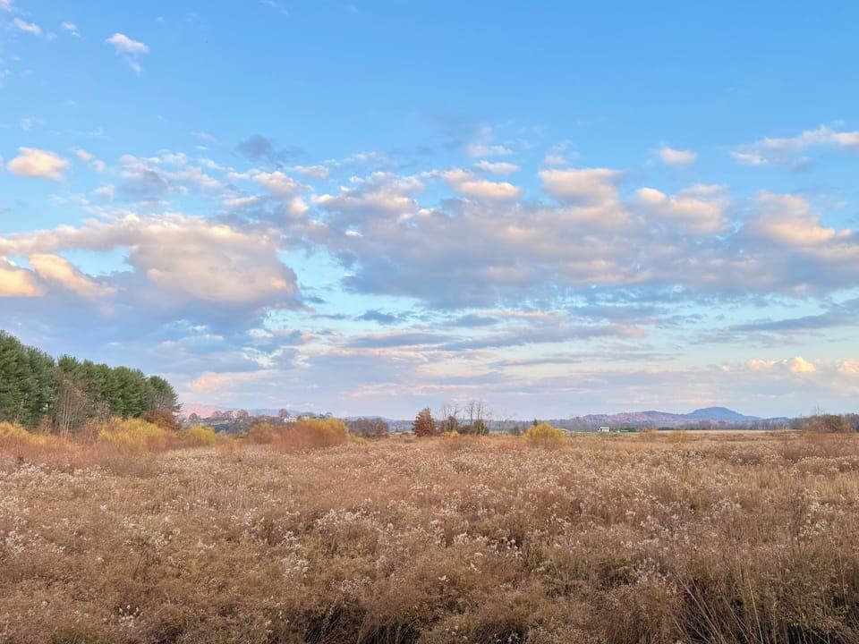 Mountain view from back patio