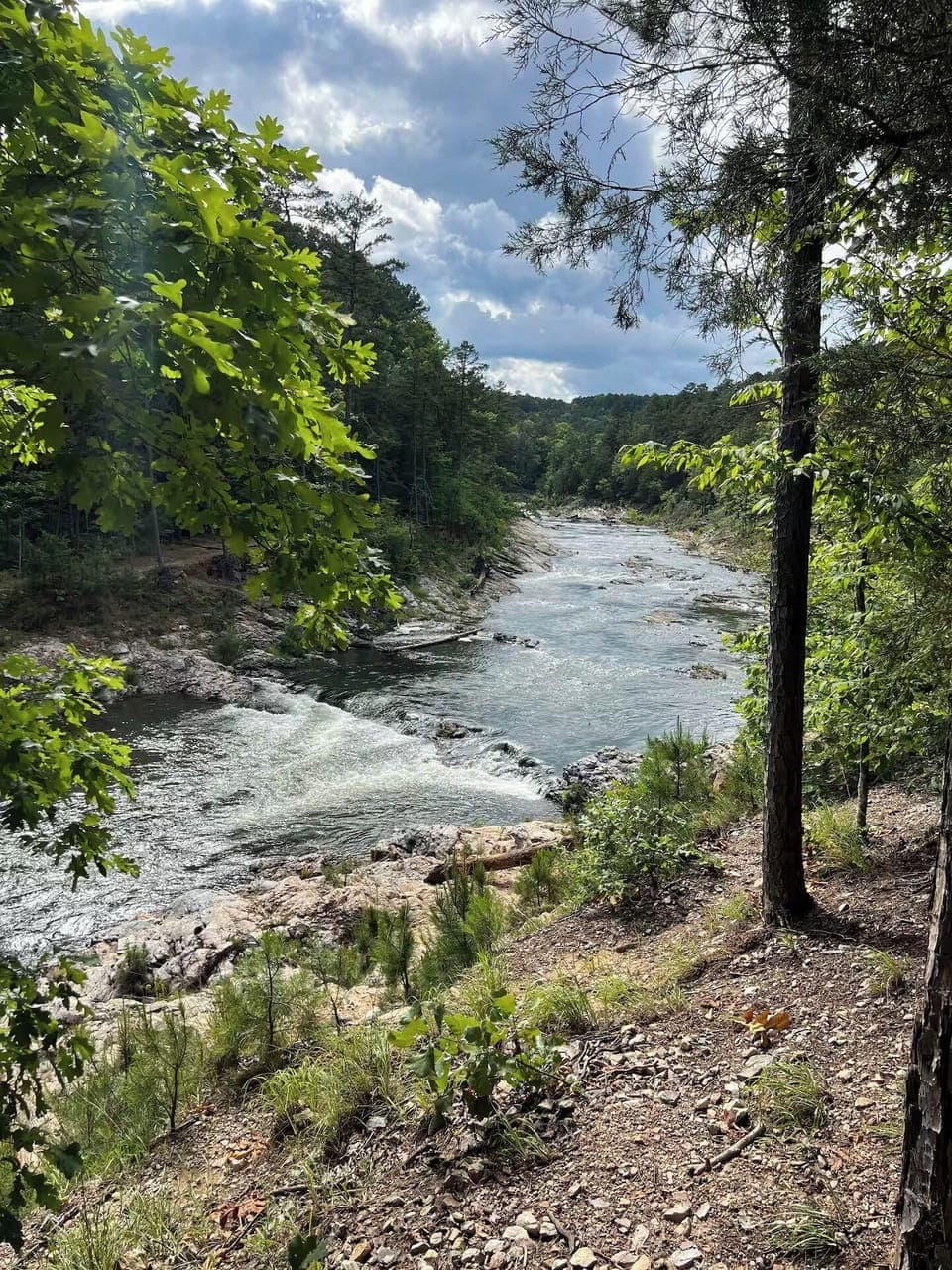 Scenic forest view with creek flowing nearby - Broken Bow
