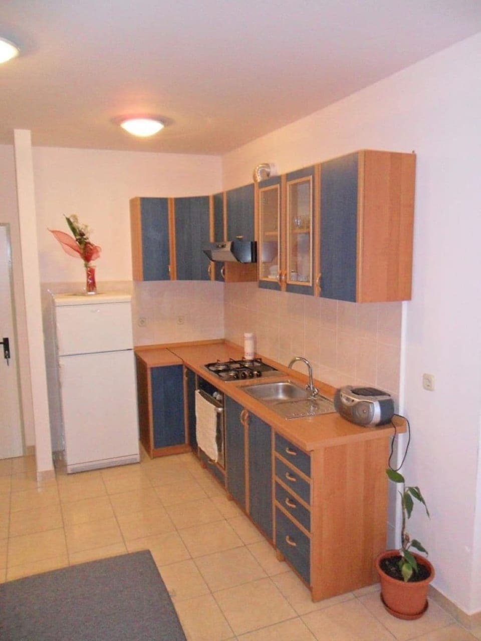 Apartment (A1) | Private kitchen