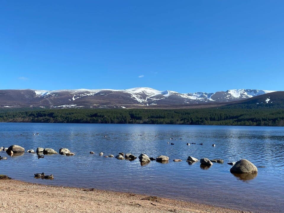 Flooring, Plumbing Fixture, Bathroom, Interior Design, Wood, Floor, Plumbing, Lighting, Tap, Furniture