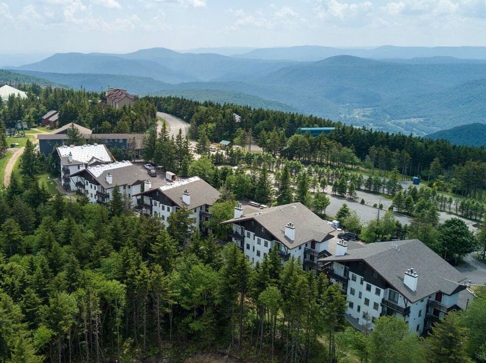 Condo, 1 King Bed with Sofa bed, Pool Access, Mountain View (1 Br: Whistlepunk 45) | View from room