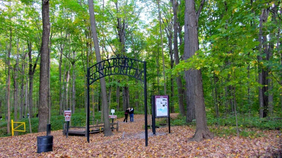 Maybury State Park - 14 min drive