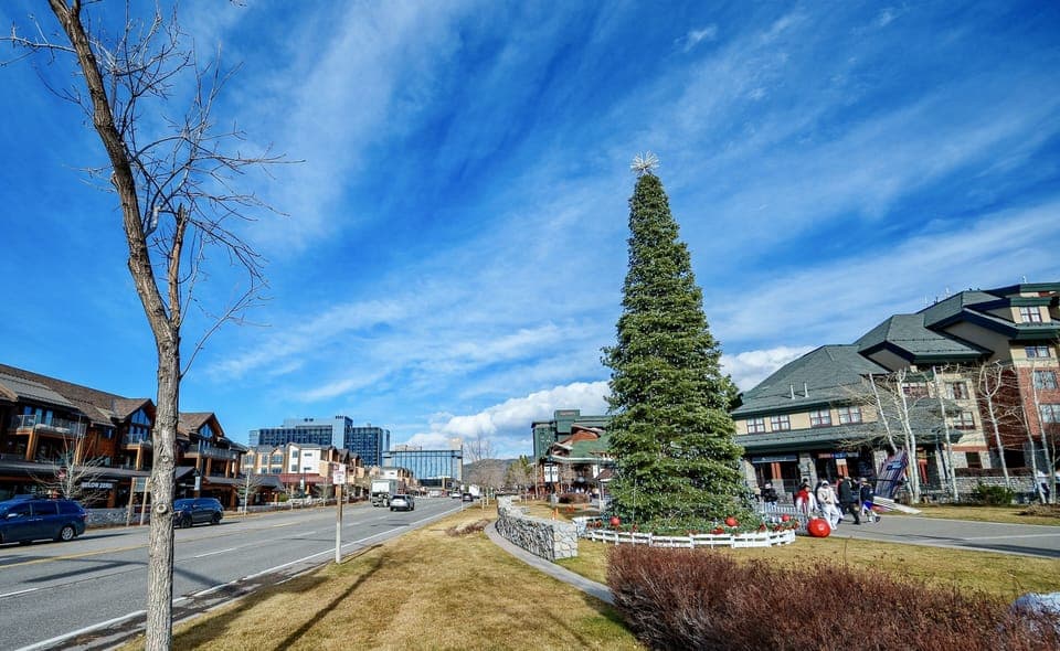 House, 3 Bedrooms | Miscellaneous