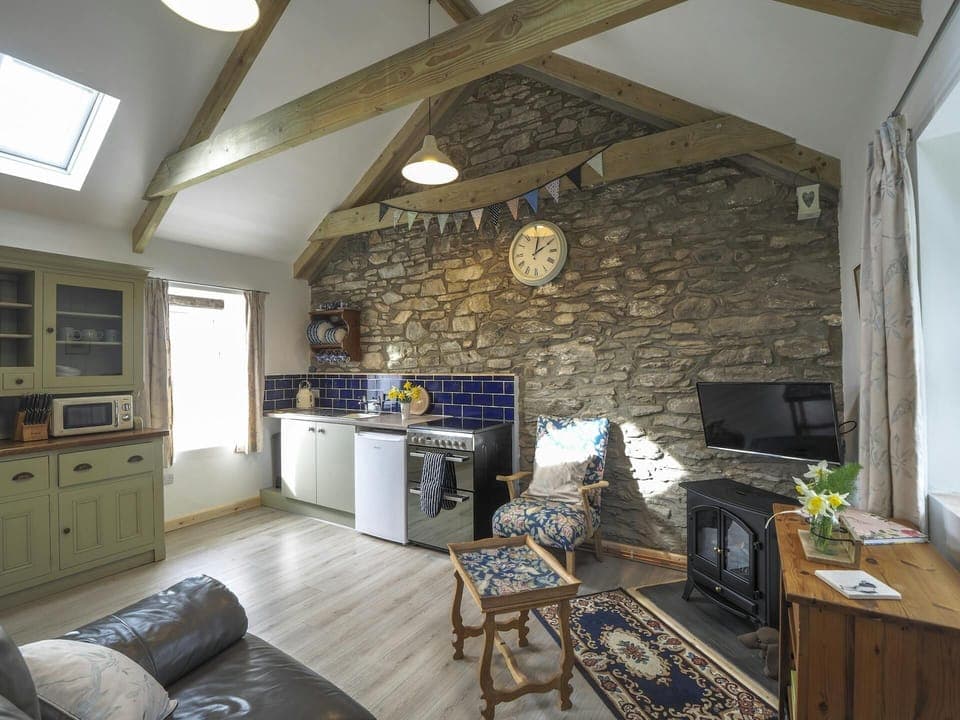 Sofa, TV, fire, coffee table, cabinet, chair