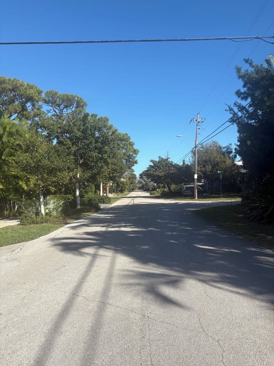 The neighborhood!