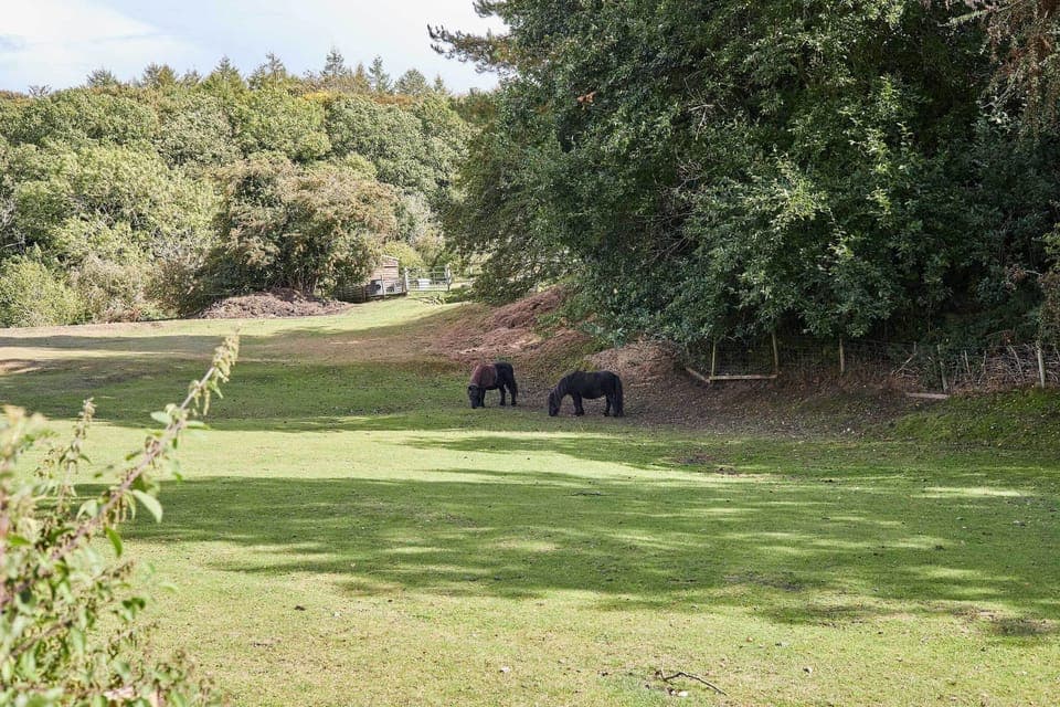The Station Cottage, Lintz Green - Host & Stay