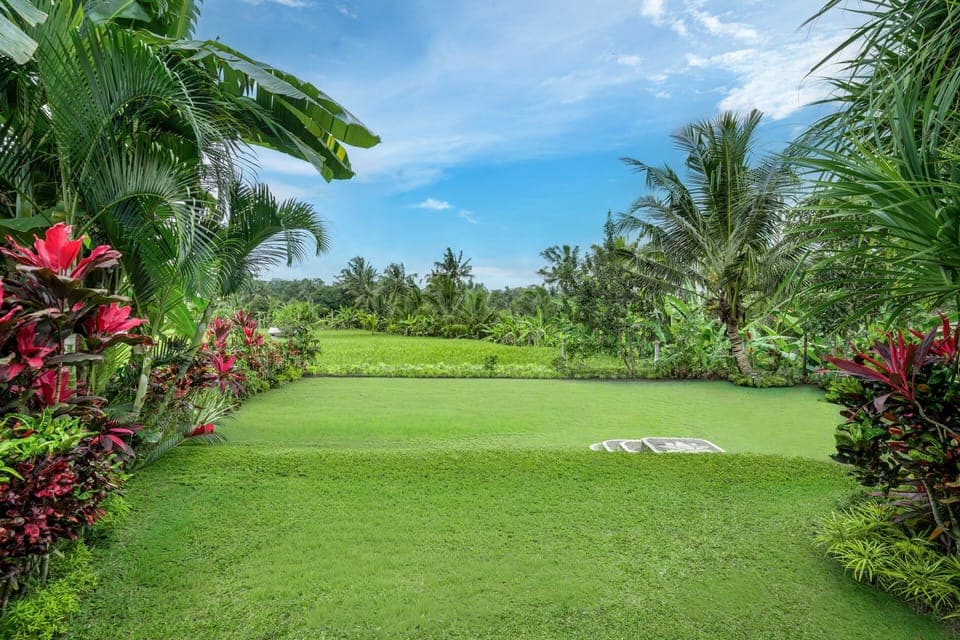 Tropical Garden and views of rice fields and jungle