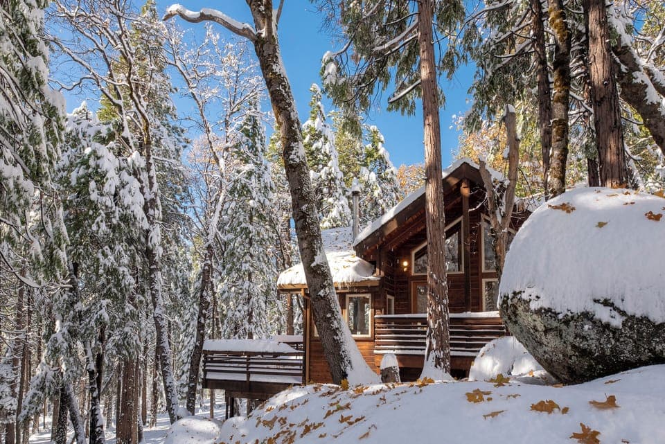 Charming in the snow