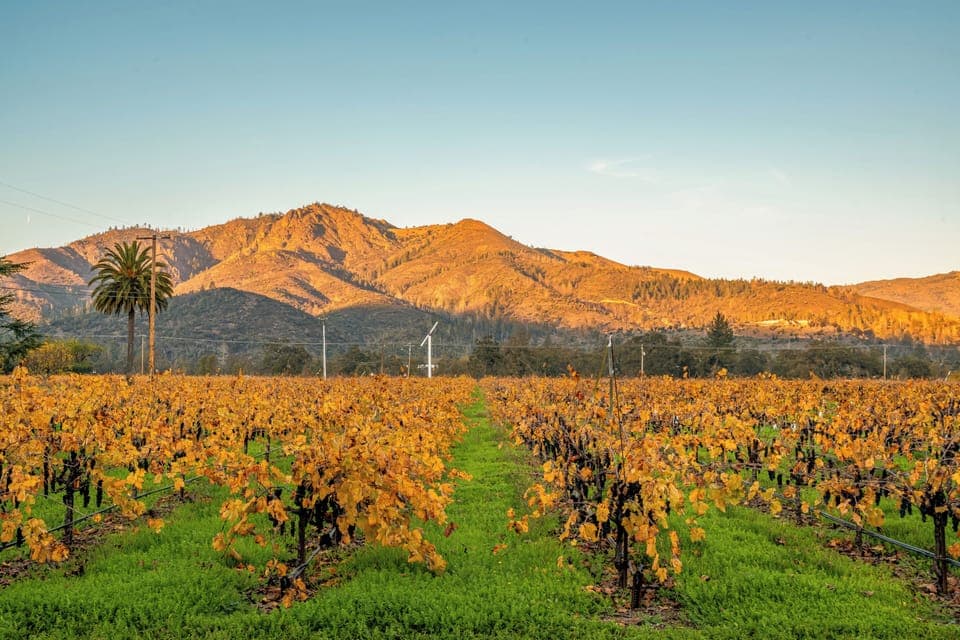 Golden autumn vineyard stretches toward dramatic mountains, creating a picturesque wine country landscape near the property.