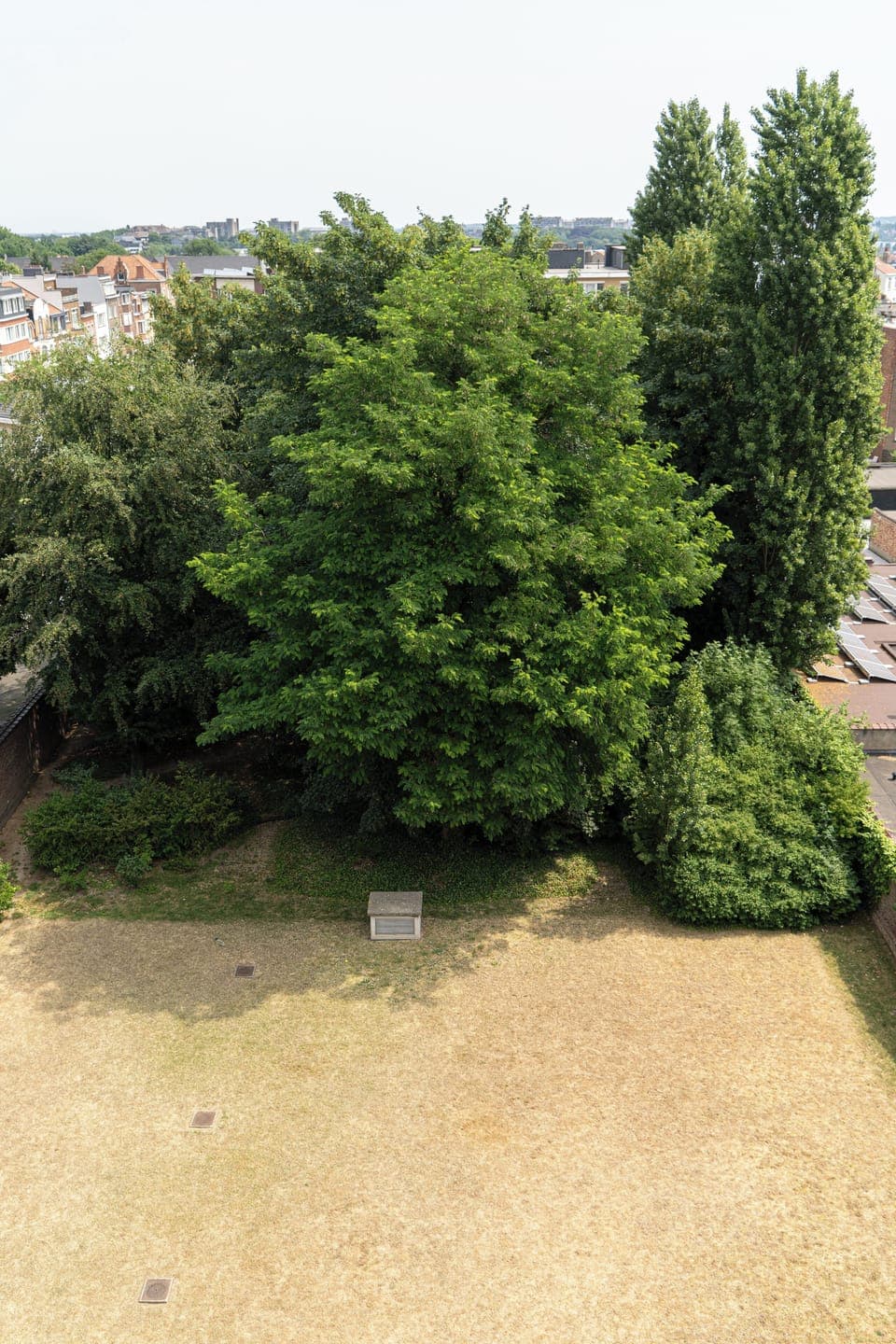 Superior Studio, 1 King Bed | Garden view