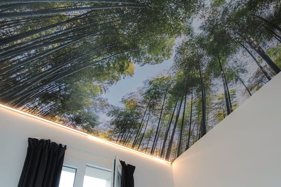 Autumn, Bedroom, Spring, Summer