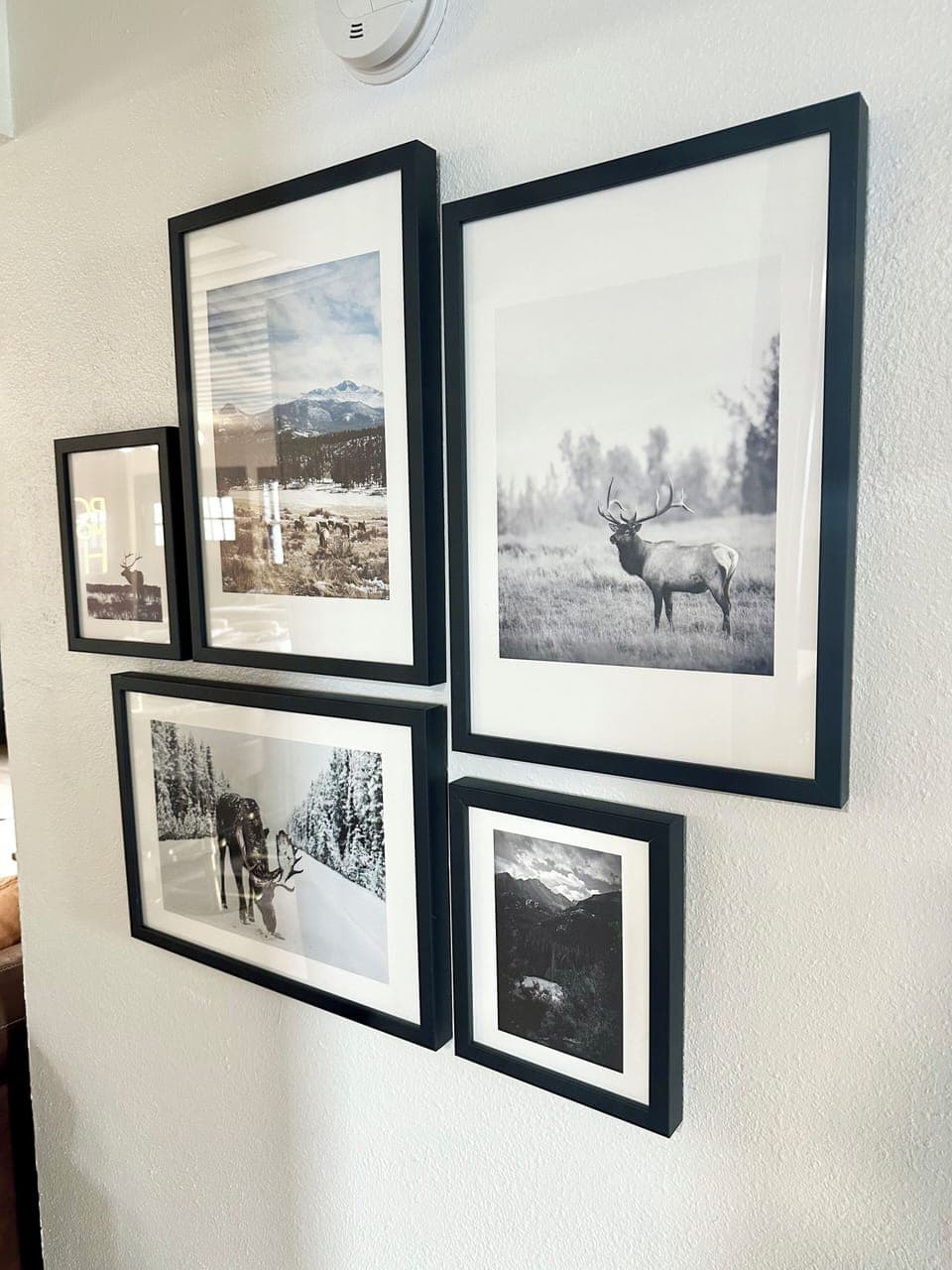 Nature & wildlife gallery to inspire your stay.