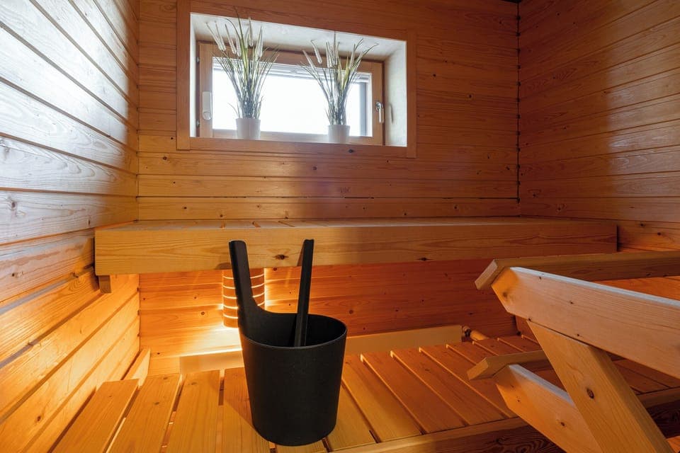 Standard Apartment, Balcony, Lake View | Sauna