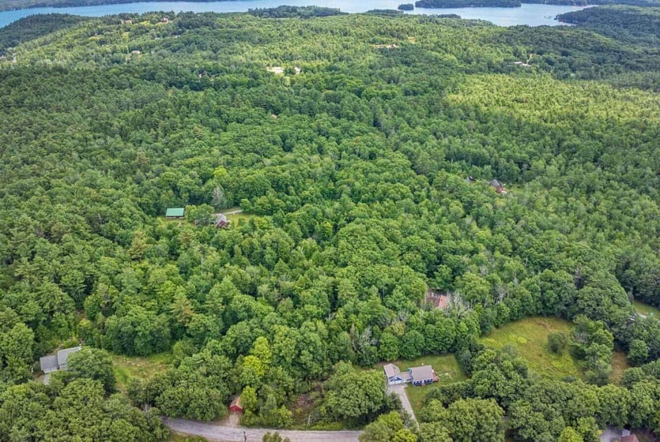 A unique forest getaway with expansive views of trees, cabins, and nearby lakefront