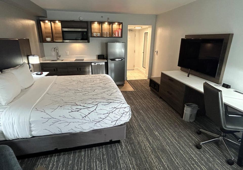 Standard Room, 1 King Bed, Non Smoking, Kitchenette | Private kitchenette | Full-size fridge, microwave, stovetop, dishwasher