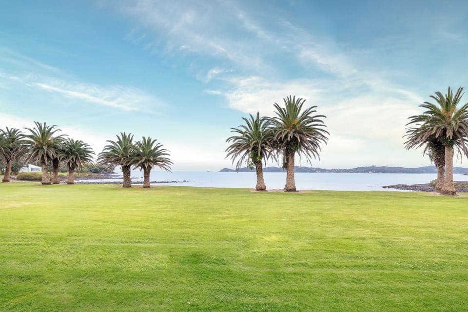 Deluxe Seaview 1 King | View from room