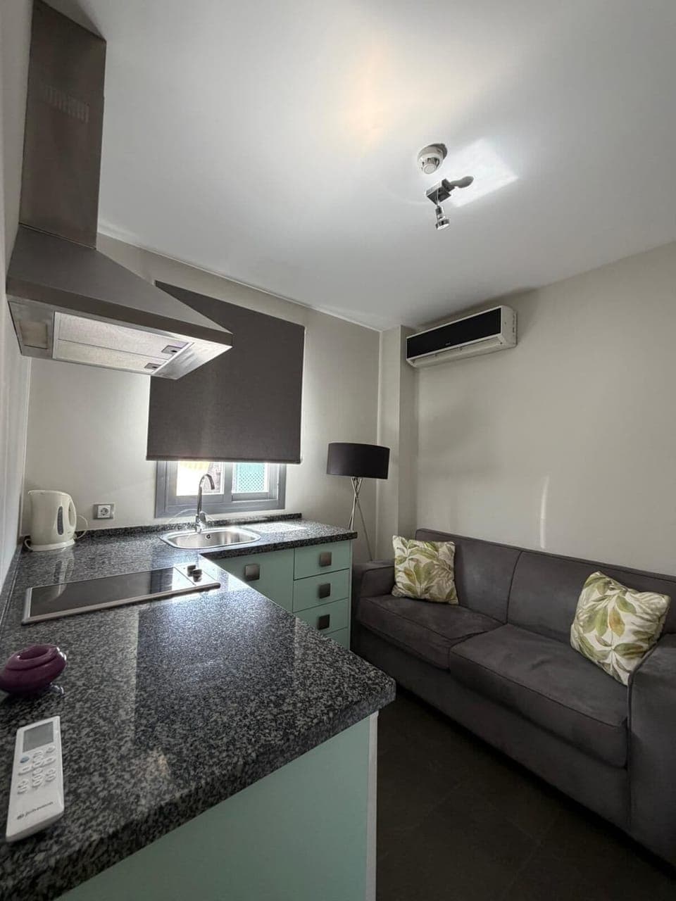 Family Apartment, City View | Private kitchen