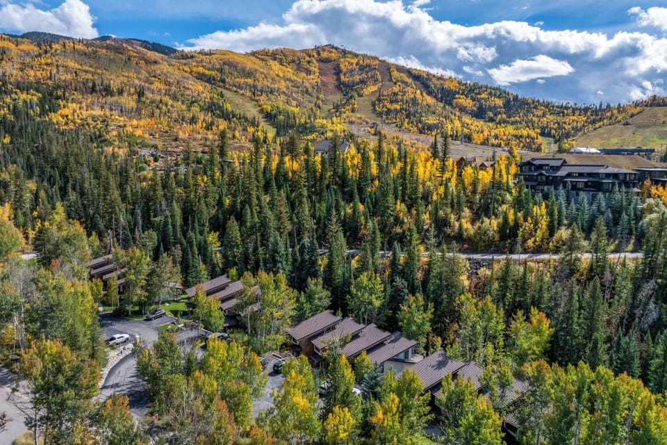 Winterwood Aerial View