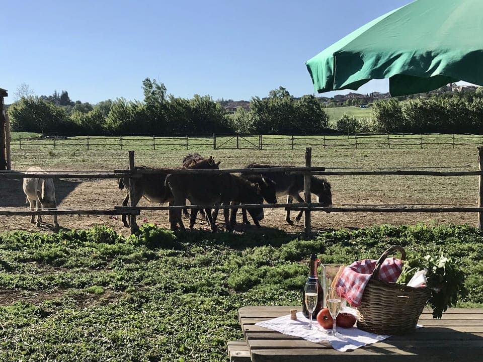 Lunch and dinner served, Regional cuisine